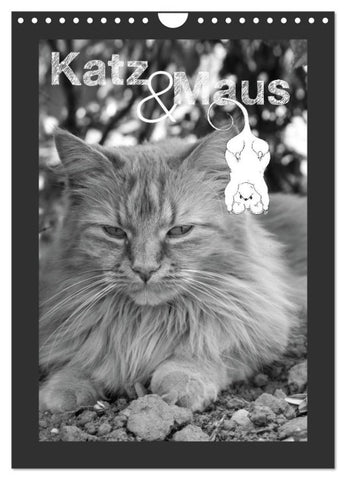 Katz & Maus (Wandkalender 2027 DIN A4 hoch), CALVENDO Monatskalender