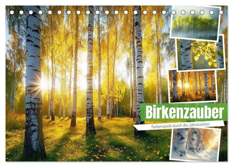 Birkenzauber (Tischkalender 2027 DIN A5 quer), CALVENDO Monatskalender