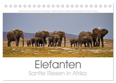 Elefanten - Sanfte Riesen in Afrika (Tischkalender 2027 DIN A5 quer), CALVENDO Monatskalender