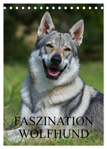 Faszination Wolfhund (Tischkalender 2027 DIN A5 hoch), CALVENDO Monatskalender