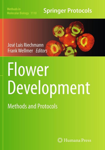 Flower Development