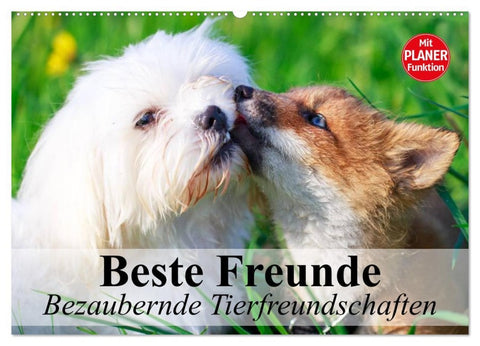 Beste Freunde. Bezaubernde Tierfreundschaften (Wandkalender 2026 DIN A2 quer), CALVENDO Monatskalender