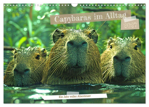 Capybaras im Alltag - Ein Jahr voller Abenteuer (Wandkalender 2027 DIN A3 quer), CALVENDO Monatskalender