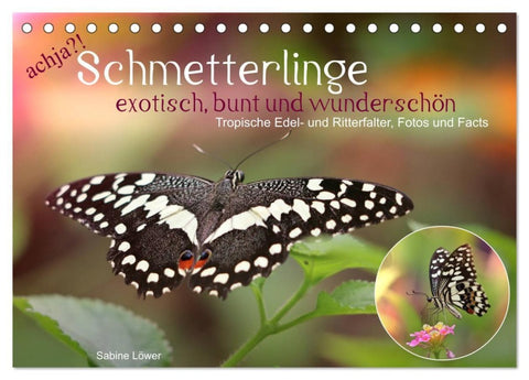 achja?! Schmetterlinge, exotisch, bunt und wunderschön (Tischkalender 2027 DIN A5 quer), CALVENDO Monatskalender