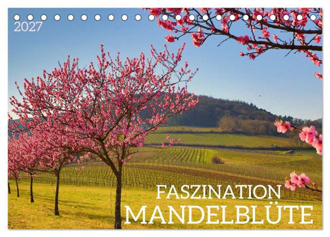 FASZINATION MANDELBLÜTE (Tischkalender 2027 DIN A5 quer), CALVENDO Monatskalender
