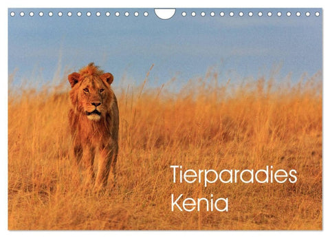 Tierparadies Kenia (Wandkalender 2027 DIN A4 quer), CALVENDO Monatskalender