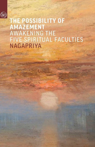 The Possibility of Amazement