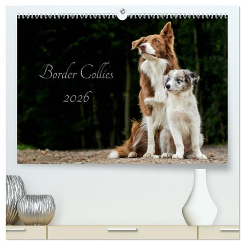 Border Collies 2026 (hochwertiger Premium Wandkalender 2026 DIN A2 quer), Kunstdruck in Hochglanz