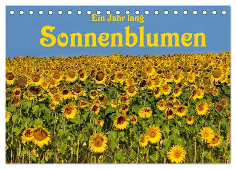 Ein Jahr lang Sonnenblumen (Tischkalender 2026 DIN A5 quer), CALVENDO Monatskalender