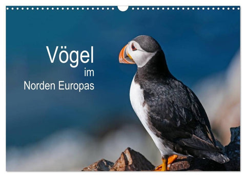 Vögel im Norden Europas (Wandkalender 2027 DIN A3 quer), CALVENDO Monatskalender