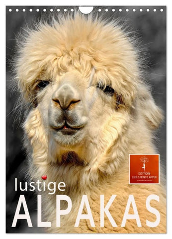 Lustige Alpakas (Wandkalender 2027 DIN A4 hoch), CALVENDO Monatskalender