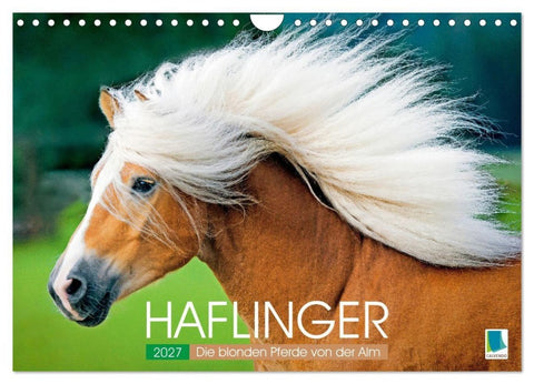 Haflinger: Die blonden Pferde von der Alm (Wandkalender 2027 DIN A4 quer), CALVENDO Monatskalender