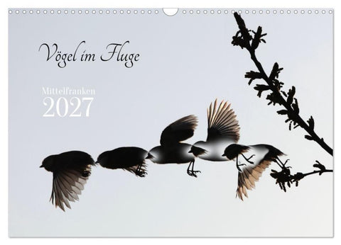 Vögel im Fluge (Wandkalender 2027 DIN A3 quer), CALVENDO Monatskalender