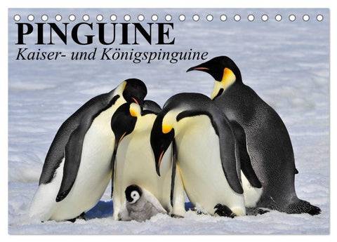 Pinguine - Kaiser- und Königspinguine (Tischkalender 2027 DIN A5 quer), CALVENDO Monatskalender