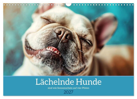 Lächelnde Hunde sind wie Sonnenschein auf vier Pfoten (Wandkalender 2027 DIN A3 quer), CALVENDO Monatskalender