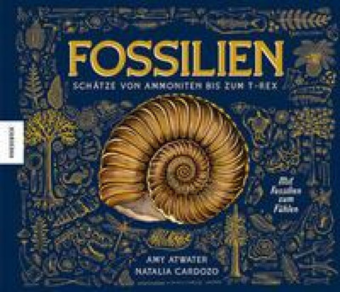 Fossilien – Schätze von Ammoniten bis zum T. Rex