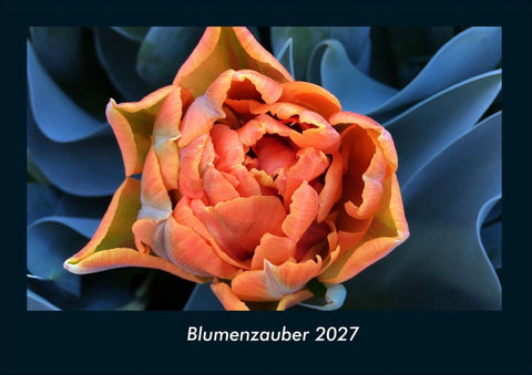 Blumenzauber 2027 Fotokalender DIN A4