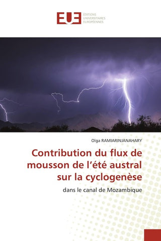 Contribution du flux de mousson de l'été austral sur la cyclogenèse