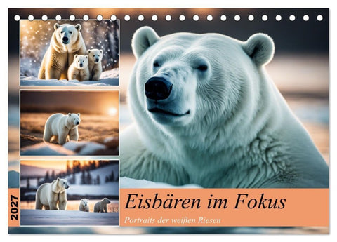 Eisbären im Fokus (Tischkalender 2027 DIN A5 quer), CALVENDO Monatskalender