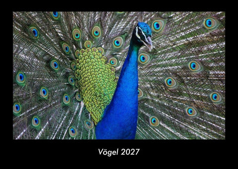 Vögel 2027 Fotokalender DIN A3