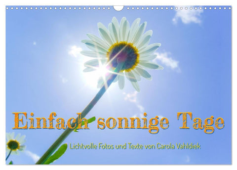 Einfach sonnige Tage (Wandkalender 2027 DIN A3 quer), CALVENDO Monatskalender