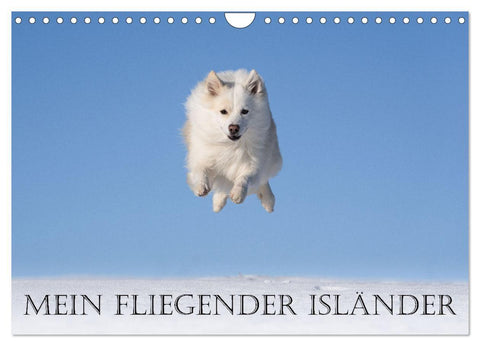 Mein fliegender Isländer (Wandkalender 2027 DIN A4 quer), CALVENDO Monatskalender