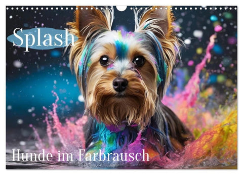Splash - Hunde im Farbrausch (Wandkalender 2027 DIN A3 quer), CALVENDO Monatskalender