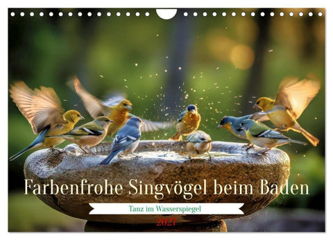 Farbenfrohe Singvögel beim Baden (Wandkalender 2027 DIN A4 quer), CALVENDO Monatskalender