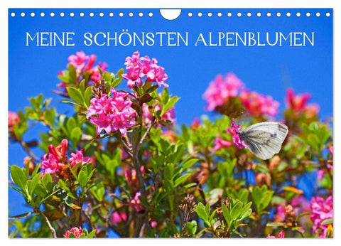 Meine schönsten Alpenblumen (Wandkalender 2027 DIN A4 quer), CALVENDO Monatskalender