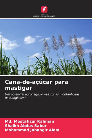 Cana-de-açúcar para mastigar
