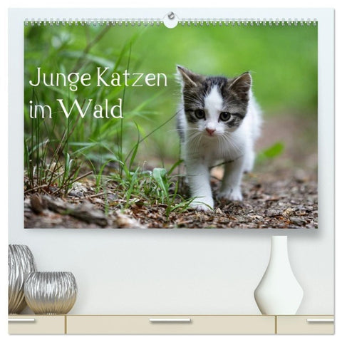 Junge Katzen im Wald (hochwertiger Premium Wandkalender 2027 DIN A2 quer), Kunstdruck in Hochglanz