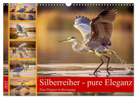 Silberreiher - pure Eleganz (Wandkalender 2027 DIN A3 quer), CALVENDO Monatskalender