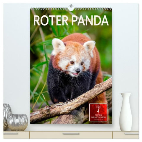 Roter Panda (hochwertiger Premium Wandkalender 2027 DIN A2 hoch), Kunstdruck in Hochglanz