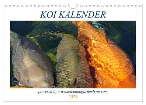 Koikichi Kalender 2026 (Wandkalender 2026 DIN A4 quer), CALVENDO Monatskalender