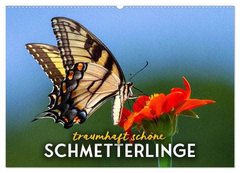 Traumhaft schöne Schmetterlinge (Wandkalender 2027 DIN A2 quer), CALVENDO Monatskalender