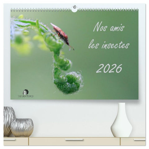 Nos amis les insectes (Calendrier mural haut de gamme 2027 DIN A2 vertical), CALVENDO calendrier mensuel