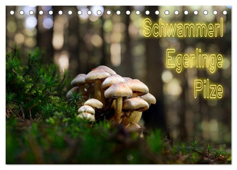 Schwammerl Egerlinge Pilze (Tischkalender 2027 DIN A5 quer), CALVENDO Monatskalender