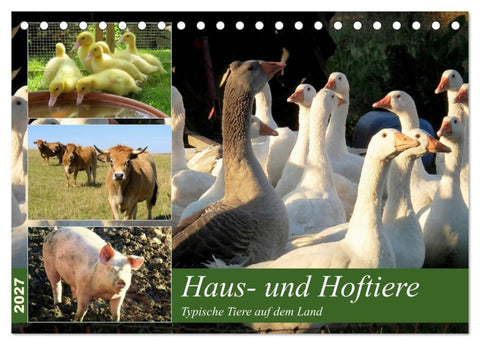 Haus- und Hoftiere (Tischkalender 2027 DIN A5 quer), CALVENDO Monatskalender