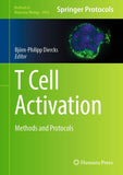 T Cell Activation