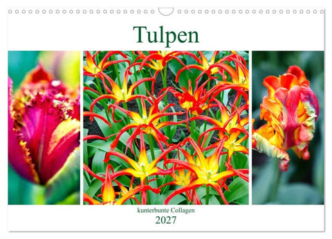 Tulpen - kunterbunte Collagen (Wandkalender 2027 DIN A3 quer), CALVENDO Monatskalender