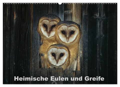 Heimische Eulen und Greife (Wandkalender 2026 DIN A2 quer), CALVENDO Monatskalender