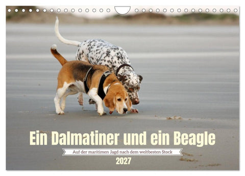 Ein Dalmatiner und ein Beagle - Auf der maritimen Jagd nach dem weltbesten Stock (Wandkalender 2027 DIN A4 quer), CALVENDO Monatskalender