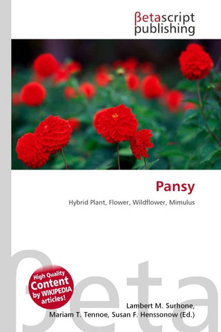 Pansy