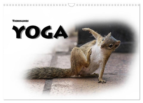 Tierisches Yoga (Wandkalender 2027 DIN A3 quer), CALVENDO Monatskalender