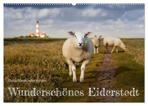 Wunderschönes Eiderstedt (Wandkalender 2026 DIN A2 quer), CALVENDO Monatskalender