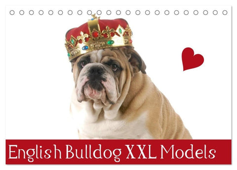 English Bulldog XXL Models (Tischkalender 2027 DIN A5 quer), CALVENDO Monatskalender