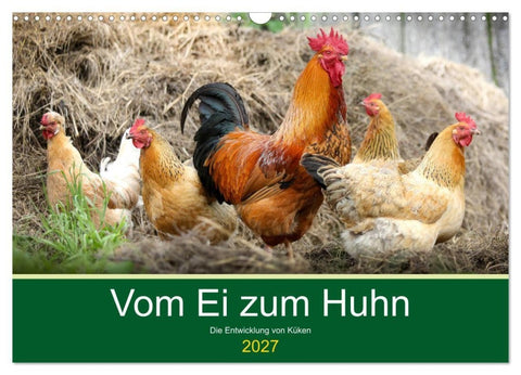 Vom Ei zum Huhn. Die Entwicklung von Küken (Wandkalender 2027 DIN A3 quer), CALVENDO Monatskalender