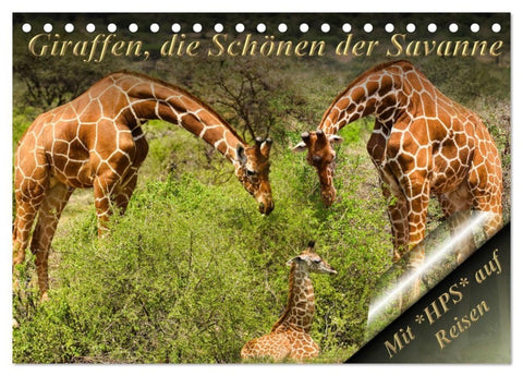 Giraffen, die Schönen der Savanne (Tischkalender 2027 DIN A5 quer), CALVENDO Monatskalender