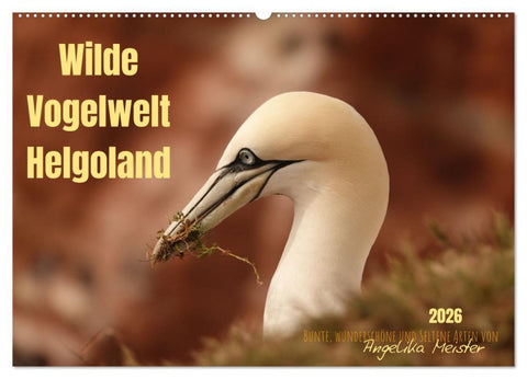 Wilde Vogelwelt Helgoland (Wandkalender 2026 DIN A2 quer), CALVENDO Monatskalender