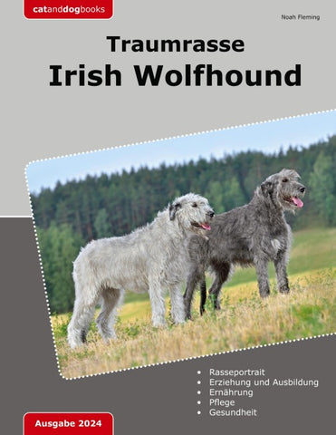 Traumrasse Irish Wolfhound